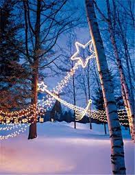 Check spelling or type a new query. 20 Solar Christmas Lights Ideas Christmas Lights Solar Christmas Lights Lights