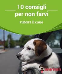 10 Consigli Per Non Farvi Rubare Il Cane My Animals Cani Animali Cuccioli Carini