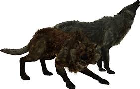 Large collections of hd transparent wolf png images for free download. Download Tesv Wolves Skyrim Wolf Full Size Png Image Pngkit