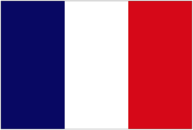 France string flag and stick flag set, 100 feet with 76 pennant banners 20 pack french stick flags perfect for outdoor,garden,sports event. Quotes For The France Flag Quotesgram