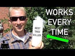 How To Kill An Elm Tree For Good