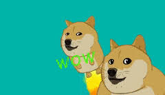 When you are part of dogecoin meme and when you are not. Best Flying Doge Gifs Gfycat