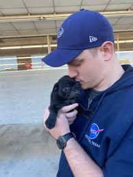 This is Roxie Roo, our 20 week old baby 🥰 How beautiful is she during  golden hour 😂🥹✨