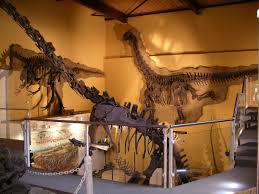Het echtpaar van der staaij bracht in 2004 een boek uit over het adoptieproces, liefs uit bogotá. Mineralienatlas Lexikon Dinosauria