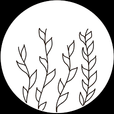 ⇢ works on both desktop folders and folders saved in finder. Desktop Icons Julia K Crist