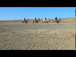 Jo jacksapril 16, 2016april 16, 2016 no comments. Stock Footage Camel Caravan Youtube