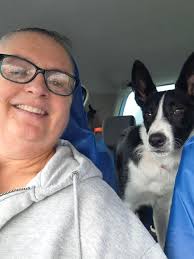 Does anyone have any tips for a spoiled dog who doesn't like going in the  boot? He used to in the old car be in the back seat. My partner recently got