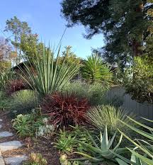 Https Www Sunset Com Wp Content Uploads D6b3227b Fe69 4852 Ac62 3565b3f74a3f Jpg C 3576827042186926 In 2020 Amazing Gardens Sunset Magazine Waterwise Garden