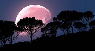 Keindahan bulan 'supermoon' di seluruh dunia pada 5 mei '12 (15 bulan yang terang lagi menawan yang jarang kita nampak. Malam Ini Warga Indonesia Bisa Lihat Fenomena Supermoon Pink Terbesar