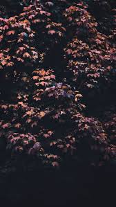 15 Gorgeous Happy Fall Iphone X Wallpapers Preppy Wallpapers Nature Iphone Wallpaper Preppy Wallpaper Fall Wallpaper