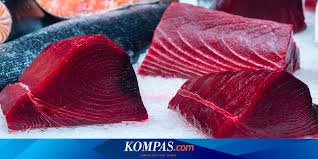 Selain daging minyak dari salmon juga sangat bermanfaat bagi. Tuna Vs Salmon Mana Lebih Sehat Halaman All Kompas Com