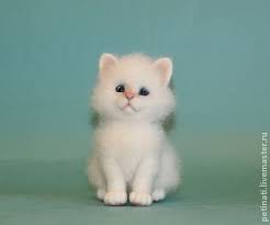 yarmarka masterov ruchnaya rabota handmade kotenok koshka iz vojloka sobachki