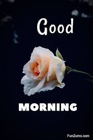 1.2 good morning beautiful images with quotes, photos and pictures free download. 35 Best Good Morning Flowers Images Funzumo
