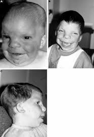 Letters to the Editor