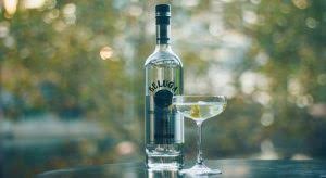 Stores and prices for 'gorbatschow wodka' | prices, stores, tasting notes. 31 Vodka Brands In India With Price Point
