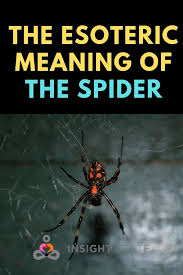 Especially in this era of time where it seems as if everyone is in the pursuit of its practice. Spiritual Meaning Of Spiders In The House Legends Dream Interpretation Spiritual Meaning Spirituality Dream Meanings