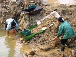 Bóc gỡ thành công 4 sàn giao dịch vàng, tiền ảo. Bat Nhao Khai Thac Vang á»Ÿ Báº¯c Káº¡n Ká»³ 3 Thiennhien Net Con NgÆ°á»i Va Thien Nhien