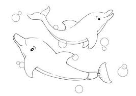 All rights belong to their respective owners. 1 Free Coloring Pages Winter The Dolphin Coloring Page