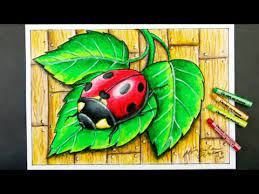 Hallo teman vevan, di video kali ini aku mau berbagi tutorial gradasi warna crayon untuk pemula. Cara Mudah Menggambar Binatang Serangga Dan Daun Dengan Crayon Cara Gradasi Warna Crayon Youtube