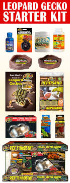 Leopard Gecko Starter Kit Everything You Need To Get Started With Your New Leopard Gecko Comes W Zoo Med S Guide Leopard Gecko Gecko Leopard Gecko Terrarium