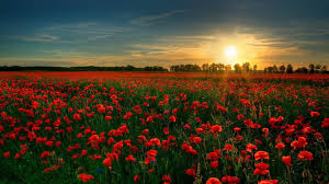 Hd wallpapers and background images. 45 Hd Beautiful Wallpapers Backgrounds For Free Download