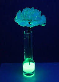 There are multiple ways you can make a flower glow using common everyday materials. Make A Living Flower Glow In The Dark Glowing Flowers Dark Flowers Glow In The Dark