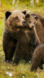 Look Mom There S A Yummy Photo Guy Over There Animais Bebes Fotografia De Animais Belas Criaturas