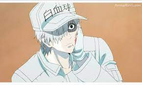 U 1146 Leucocito Anime Hataraku Saibou 2018 Anime Art Manga