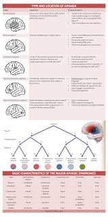 Type Location Basic Characteristics Of Aphasia Cheat