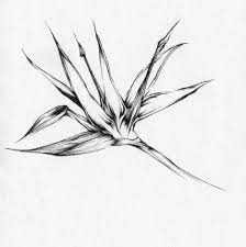 53 Ideas For Bird Of Paradise Tattoo Flower Paradise Tattoo Bird Of Paradise Tattoo Birds Of Paradise Flower