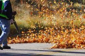The Ego Power Cordless Leaf Blower Is A Compact And Lightweight Tool Take It Anywhere To Get The J Cordless Leaf Blowers Electric Leaf Blowers Amazing Gardens