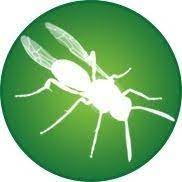 It is only one of the parks in town where you can see displays of natural beauty. Pointe Pest Control Post Falls Id Alignable
