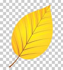 Edit and share any of these stunning autumn leaves clipart pics. Yellow Autumn Leaves Png Images Yellow Autumn Leaves Clipart Free Download