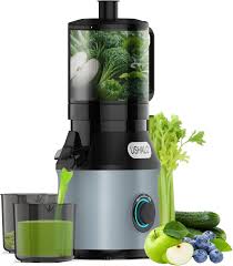 Cold Press Juicer