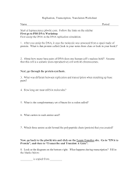 They don't however directly create proteins. Replication Transcription Translation Worksheet