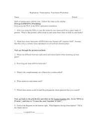 Show where transcription and translation are occurring make sure to label the dna and the rna (all three types!) biology midterm review sheet. Replication Transcription Translation Worksheet