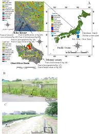 The number of hydrology observation station in japan. Reproduction Of Sediment Deposition And Prediction Of 137 Cs Concentration In The Major Urban Rivers Of Tokyo Scientific Reports