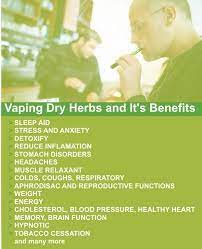 Moringa Leaf Vaping Dry Herbs And It S Benefits Herbs That You Can Vaporize Vape Drying Herbs Vape Humor