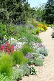 Xeriscape Garden Xeriscape Front Yard Xeriscape Landscaping Mediterranean Garden