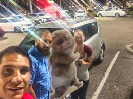 Kia of Wesley Chapel