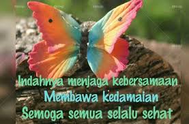 Maybe you would like to learn more about one of these? Gambar Ucapan Selamat Pagi Tuhan Memberkati Foap Com Foto Kupu Kupu Yg Cntik Buat Ucapan Selamat Pagi 20 Ucapan Selamat Tuhan Memberkatimu Selamat Pagi Tuhan