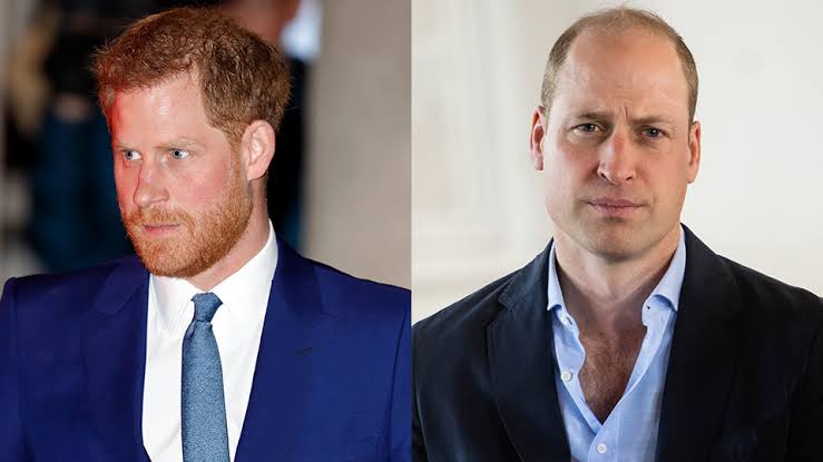 Prince William Recalls Princess Diana's Death Amid Prince Harry Feud
