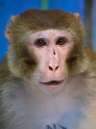 After surviving a Mississippi truck crash and days