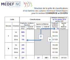 Salaires Conventionnels Medef Nc