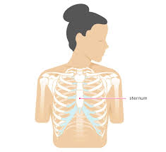Pain in the middle of the back can make sitting, walking, driving, and other activities difficult. Sternum Popping Treatment Pain Chest Pain And Symptoms