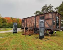 Image result for cattle cars