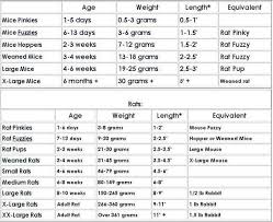 Weight Size And Age Chart Bearded Dragon Food Corn