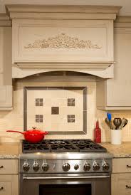 Space but that does not exhaust air clear shop electric ranges online. Decorative Range Hood Houzz