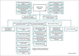 Public health system structure and function basicmedical key. Cdc Org Chart Yerse