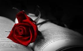 Book With Red Rose Desktop Nexus Wallpapers Rose Wallpaper Red Roses Dark Red Roses